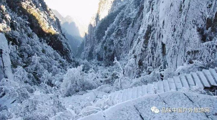 英雄教师张丽莉:不在编制内,月薪1000多,救学生遭碾轧截肢双腿